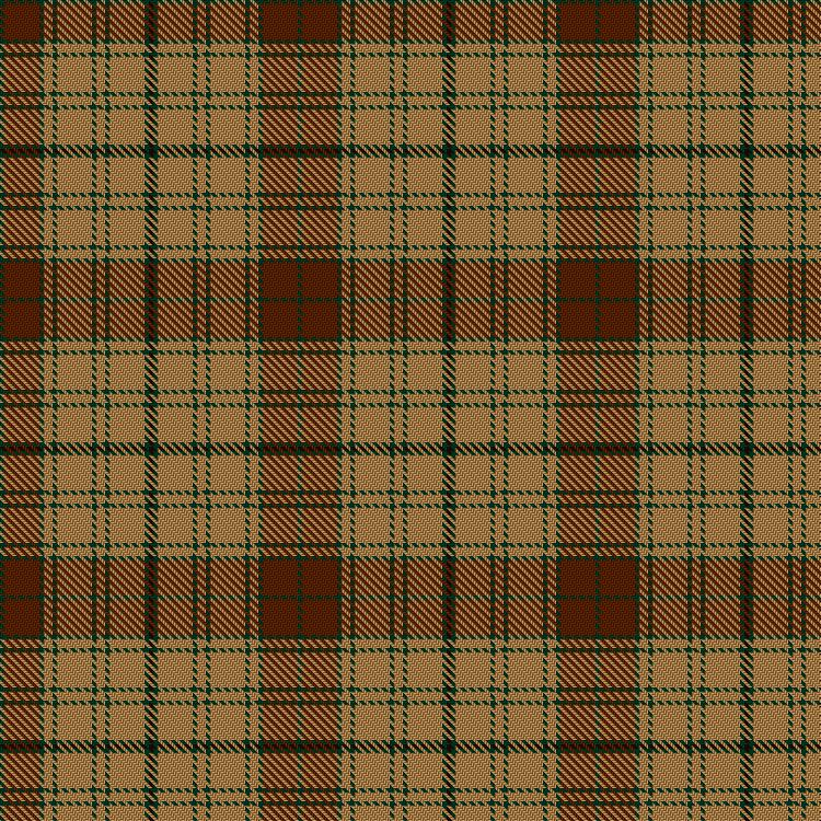 Tartan image: Unnamed C16/17th (Glen Affric). Click on this image to see a more detailed version.