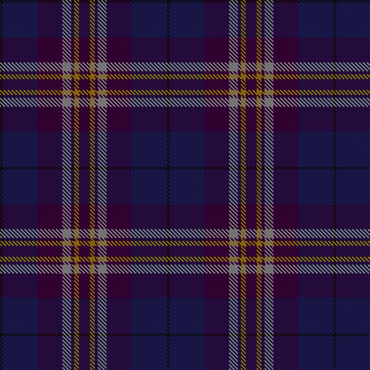 Tartan image: Charleston Police Department. Click on this image to see a more detailed version.