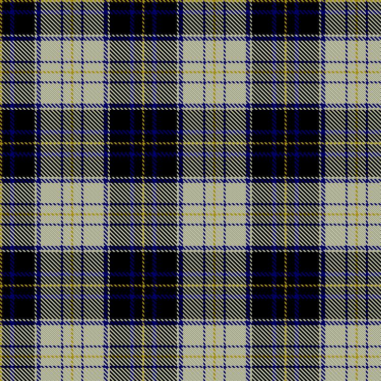 Tartan image: Chieftain. Click on this image to see a more detailed version.