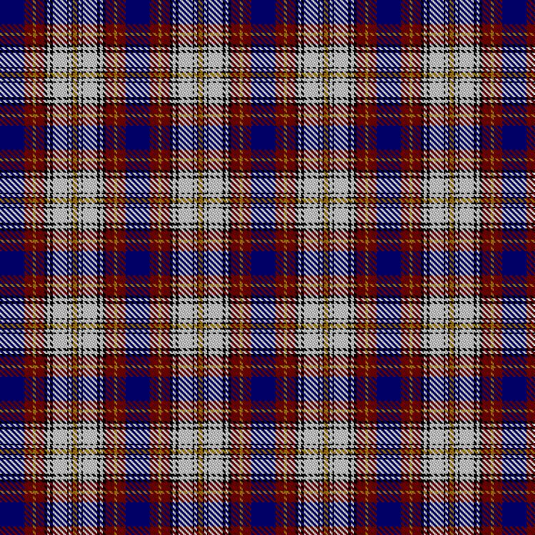 Tartan image: Chieftain, The. Click on this image to see a more detailed version.