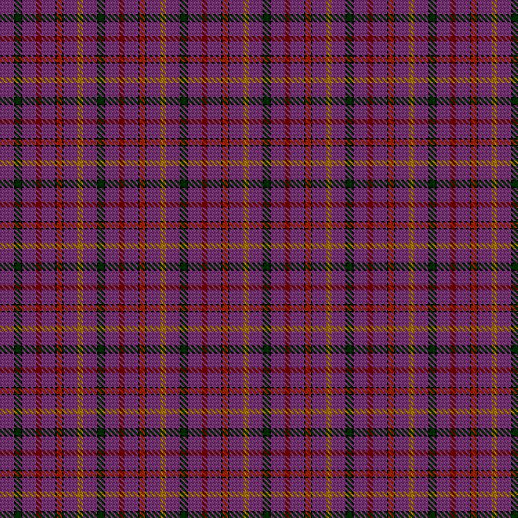 Tartan image: Child, The. Click on this image to see a more detailed version.