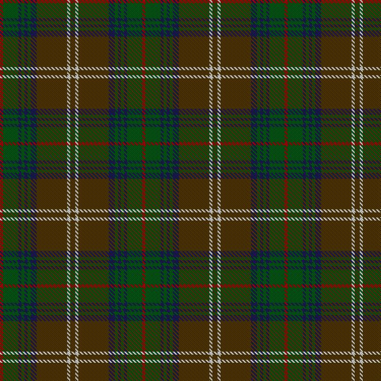 Tartan image: Chisholm Hunting. Click on this image to see a more detailed version.