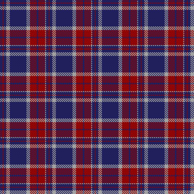 Tartan image: America (Eagle version). Click on this image to see a more detailed version.