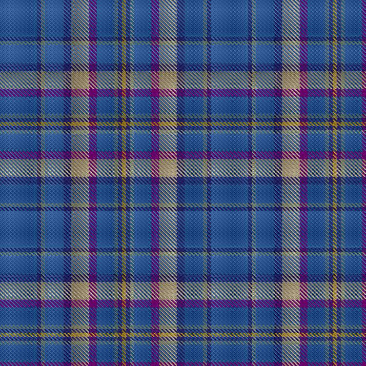Tartan image: Cian of Ely. Click on this image to see a more detailed version.