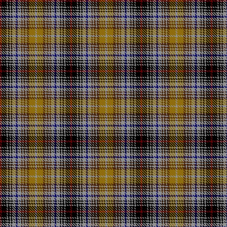 Tartan image: Clanedin/Commonwealth. Click on this image to see a more detailed version.