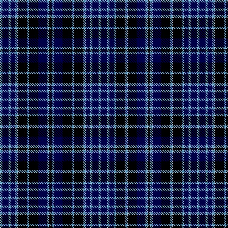 Tartan image: Clergy / Clark – Light Blue lines #1. Click on this image to see a more detailed version.