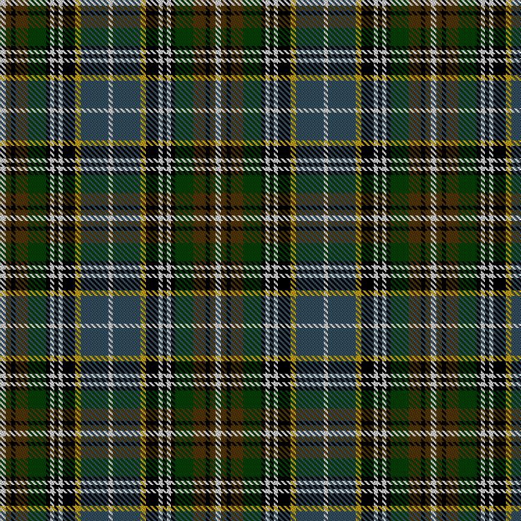 Tartan image: Clodagh/Cork. Click on this image to see a more detailed version.