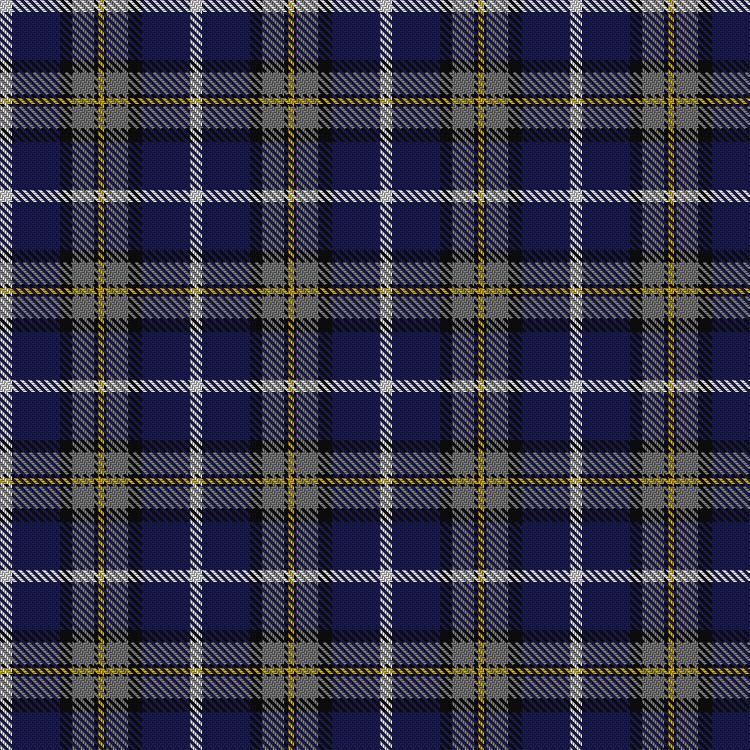 Tartan image: Clunie (Personal). Click on this image to see a more detailed version.