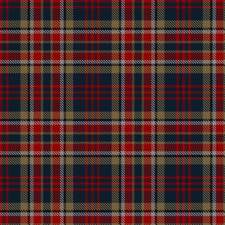 Tartan image: Commonwealth. Click on this image to see a more detailed version.