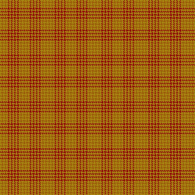 Tartan image: Compaq. Click on this image to see a more detailed version.