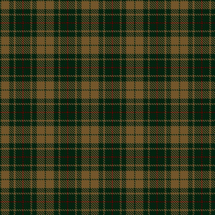 Tartan image: Confederate Artillery. Click on this image to see a more detailed version.