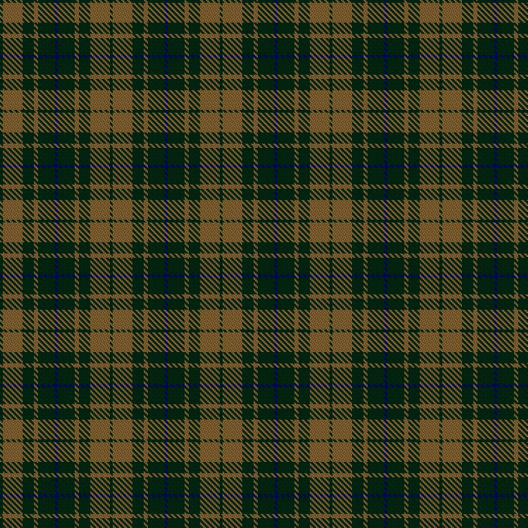 Tartan image: Confederate Infantry. Click on this image to see a more detailed version.