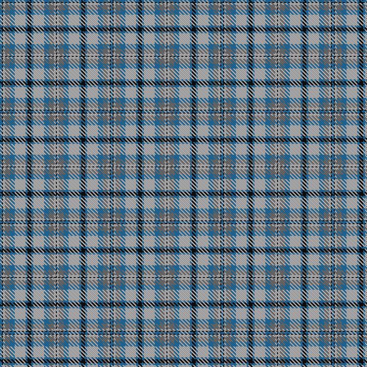Tartan image: Conquergood (Canada). Click on this image to see a more detailed version.