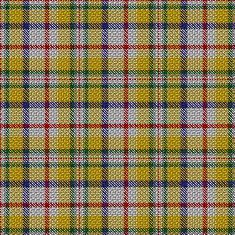 Tartan image: Contrecoeur Dress. Click on this image to see a more detailed version.