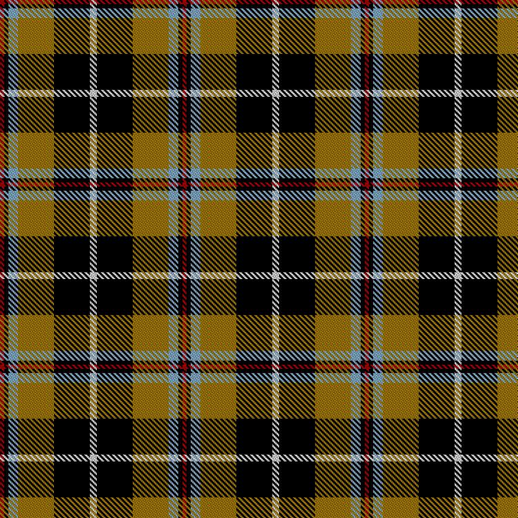 Tartan image: Cornish National. Click on this image to see a more detailed version.