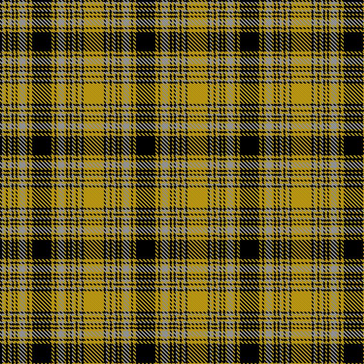Tartan image: Corps Suevia Heidelburg. Click on this image to see a more detailed version.