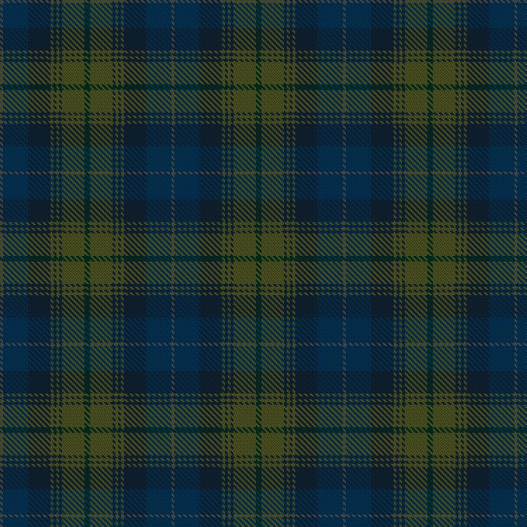 Tartan image: Cowal Highland Gathering. Click on this image to see a more detailed version.