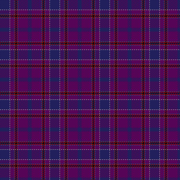 Tartan image: Custer (Personal). Click on this image to see a more detailed version.