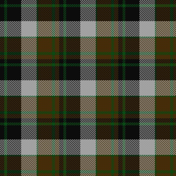 Tartan image: Dalveen (1981). Click on this image to see a more detailed version.