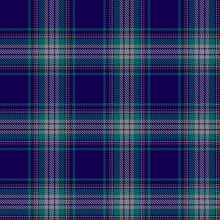 Tartan image: Damson. Click on this image to see a more detailed version.