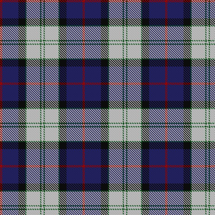 Tartan image: Davidson (Wedding) (Personal). Click on this image to see a more detailed version.