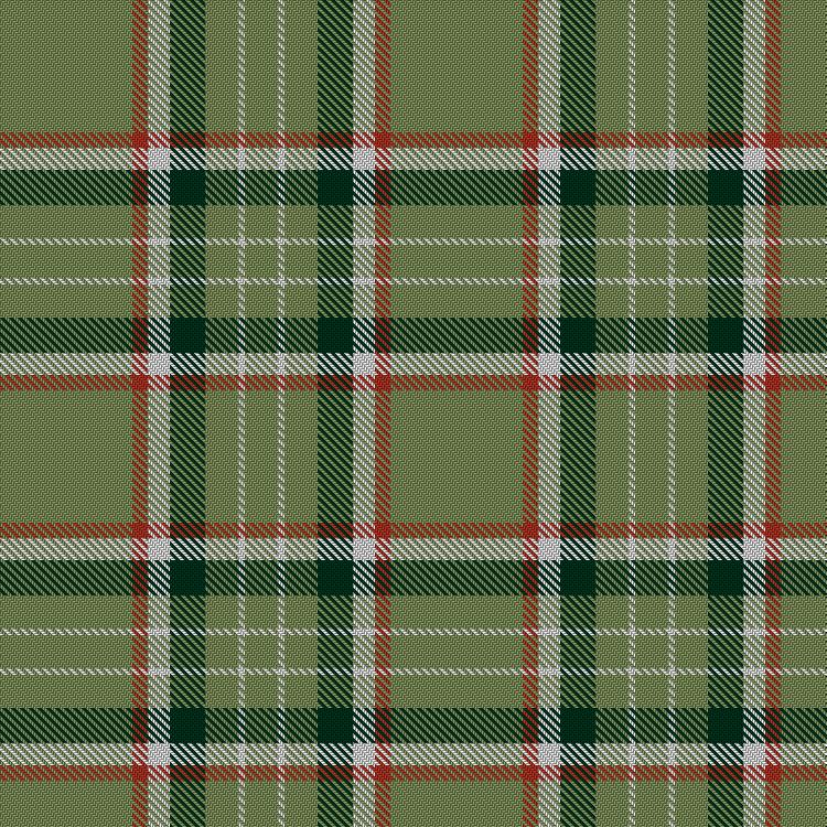 Tartan image: Deer Park (Loton) (Personal). Click on this image to see a more detailed version.