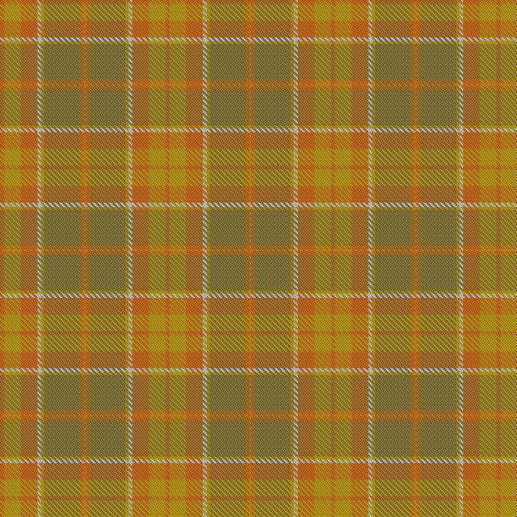 Tartan image: Desert in Bloom. Click on this image to see a more detailed version.