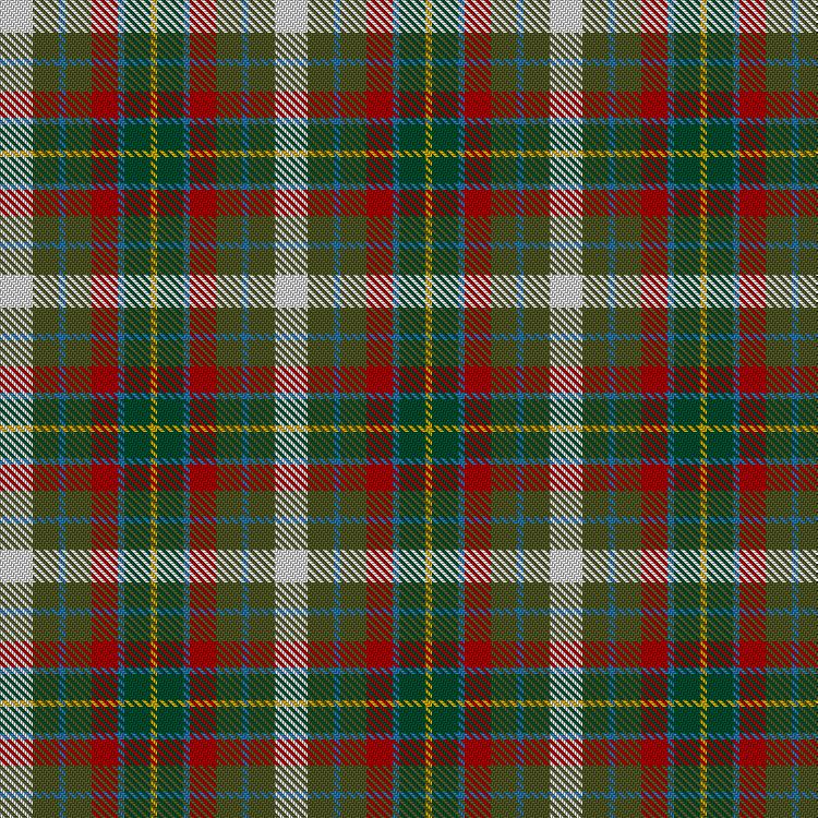 Tartan image: Devon Rural Skills Trust. Click on this image to see a more detailed version.
