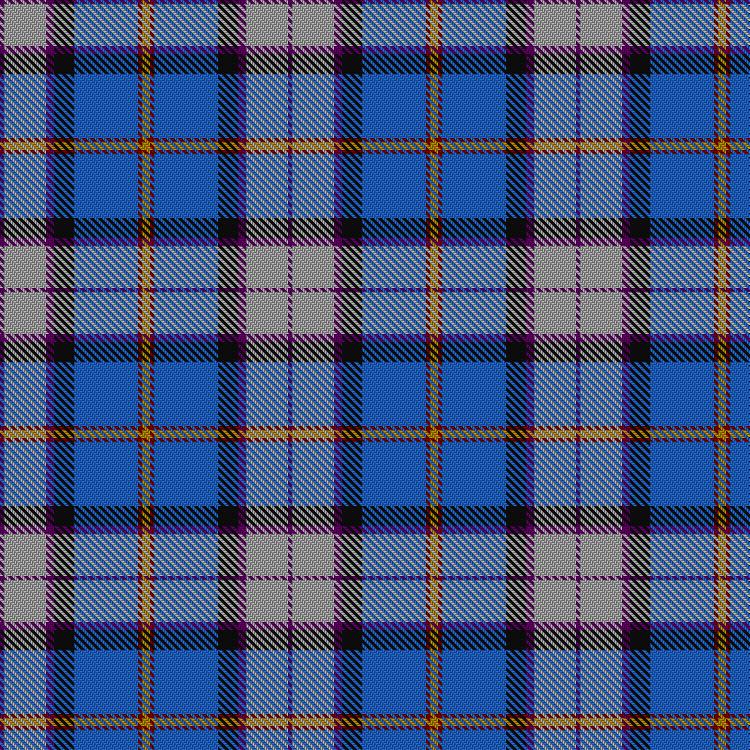 Tartan image: Dignan School of Dancing. Click on this image to see a more detailed version.