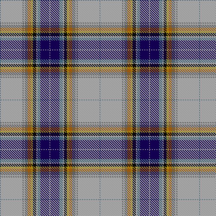 Tartan image: Antarctic. Click on this image to see a more detailed version.