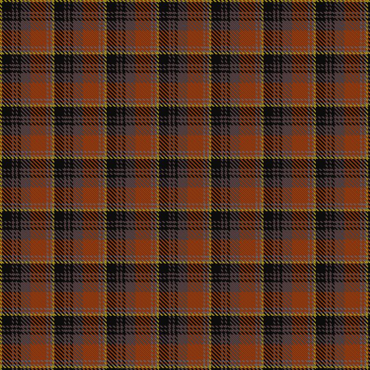 Tartan image: Dryburgh. Click on this image to see a more detailed version.