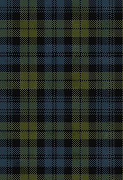 Photo of Campbell Clan/Family Tartan