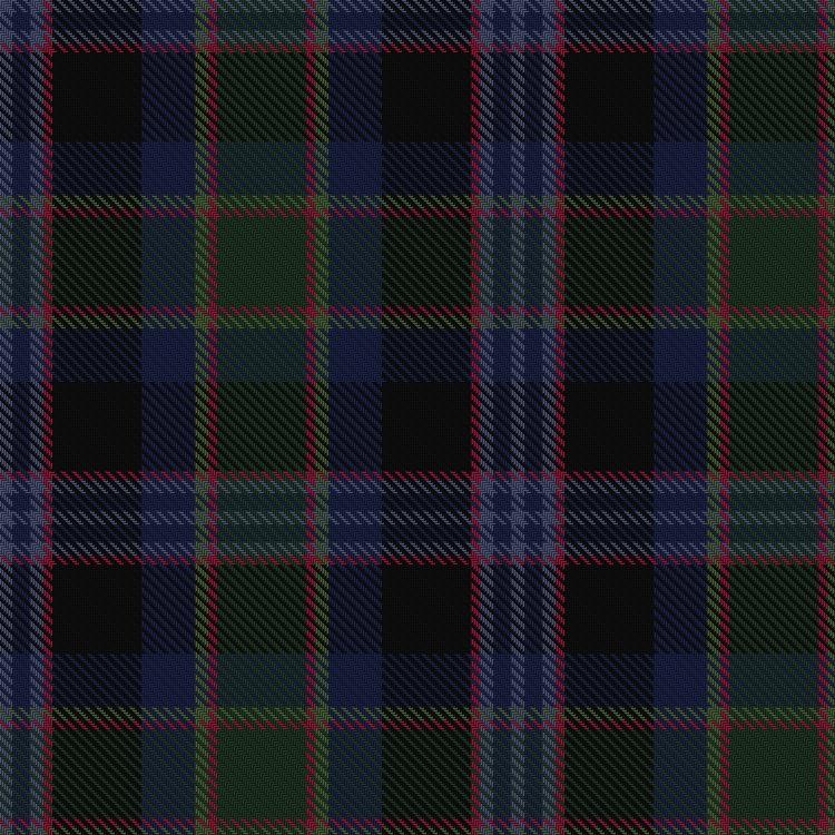 Tartan image: Ithilien Heather (Personal)