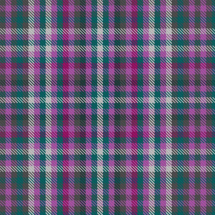 Tartan image: Welly (Personal)
