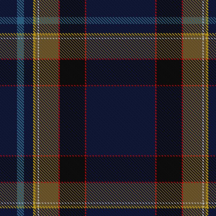 Tartan image: Pannell, baron of Anstruther (Personal)