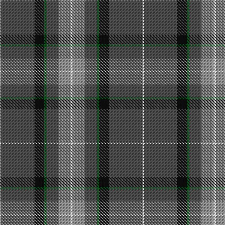 Tartan image: Moon and Airless Bodies