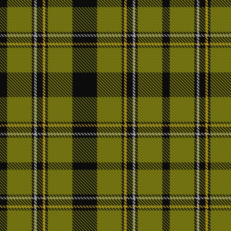 Tartan image: Forbes, Brian and Family, Hunting (Personal)