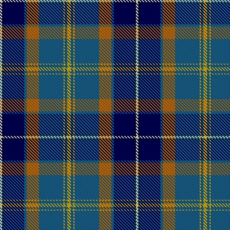 Tartan image: Brothers and Sisters of Paramedicine