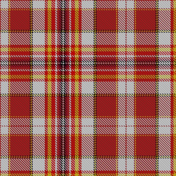 Tartan image: Ducoulombier, Thibault (Personal)