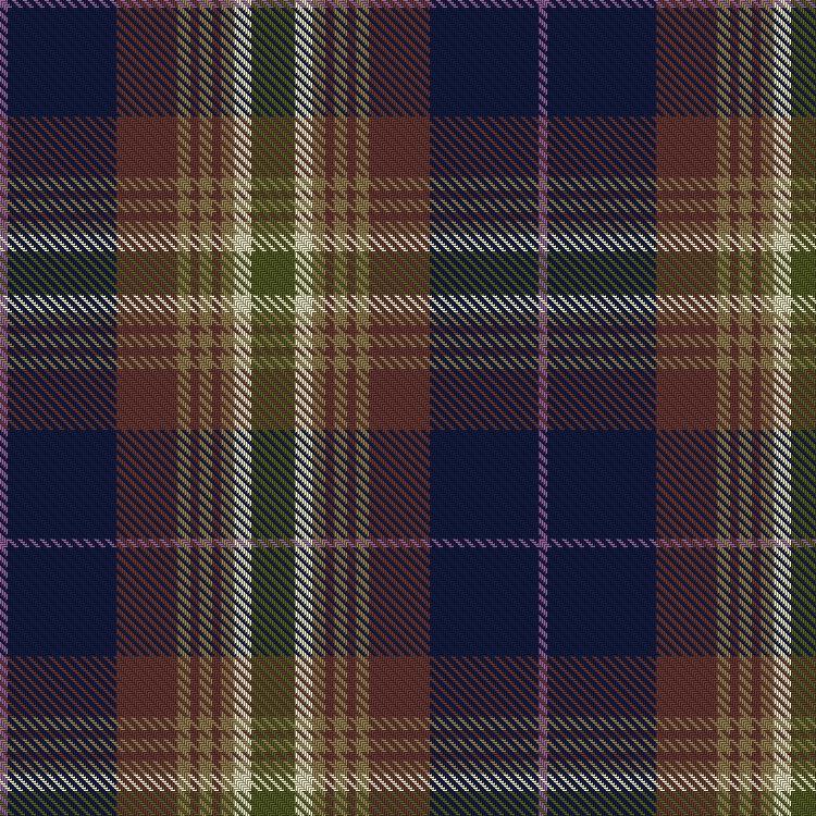 Tartan image: Lively, C & Family (Personal)